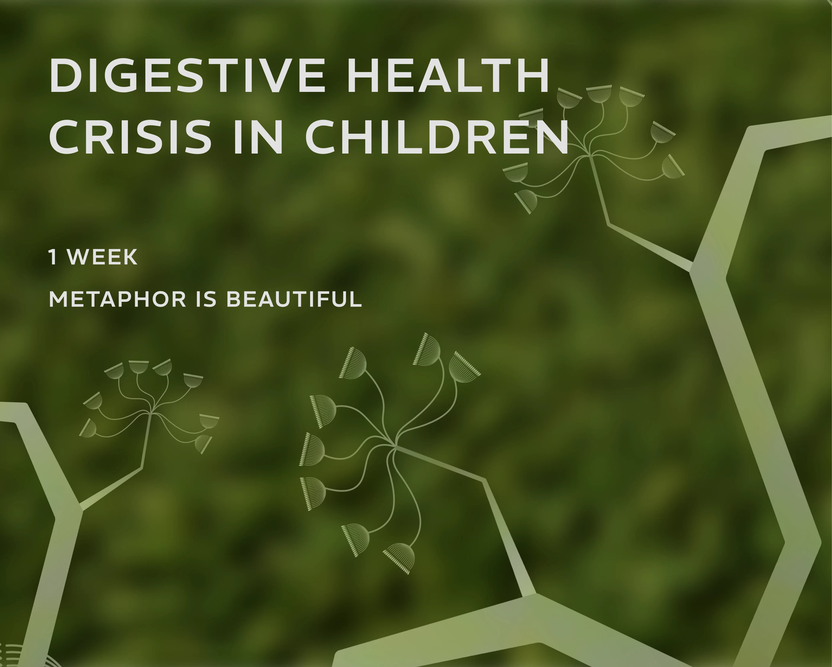 Metaphor is Beautiful